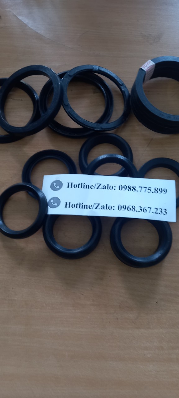 phớt xếp bộ VES-V (9)